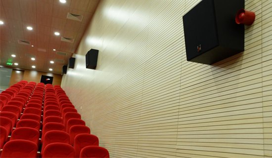Akustik Ahşap Duvar Sistemi