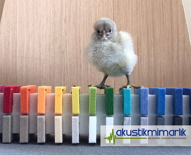 akustik keçe